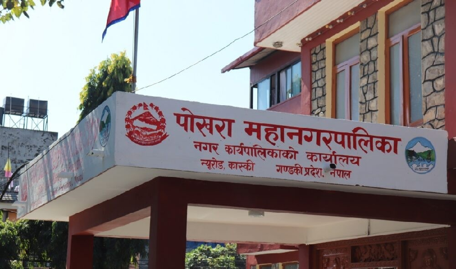 सर्लाही कांग्रेसको जिल्ला कार्यसमितिमा युवा नेता ठाकुर  सदस्यमा मनोनित